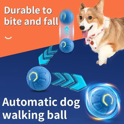 USB Automatic Dog Accessories Mobile Bounce Moving Ball for Dogs Electronic Interactive Pet Toys Pool Cats Toy Bag Supplies Home