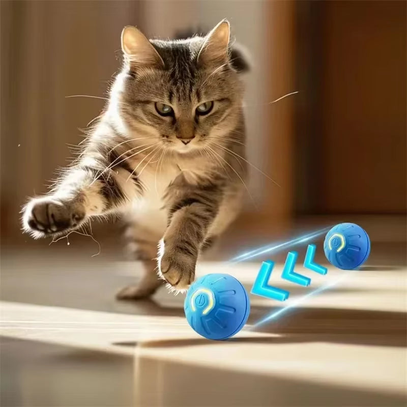 USB Automatic Dog Accessories Mobile Bounce Moving Ball for Dogs Electronic Interactive Pet Toys Pool Cats Toy Bag Supplies Home