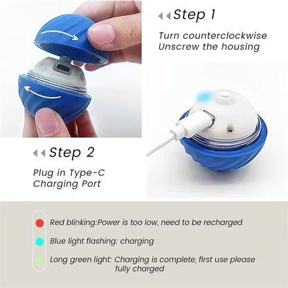 USB Automatic Dog Accessories Mobile Bounce Moving Ball for Dogs Electronic Interactive Pet Toys Pool Cats Toy Bag Supplies Home